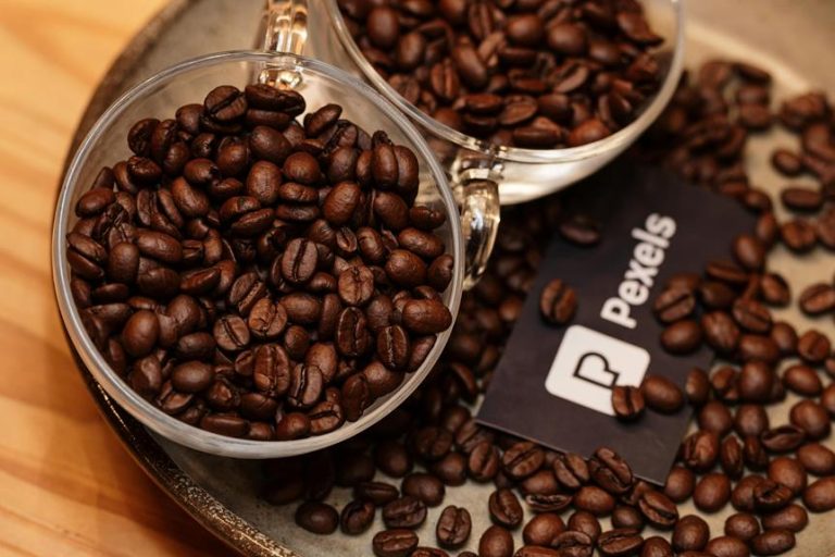 best stovetop percolators reviewed