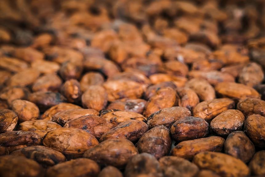 cocoa powder enhances coffee health