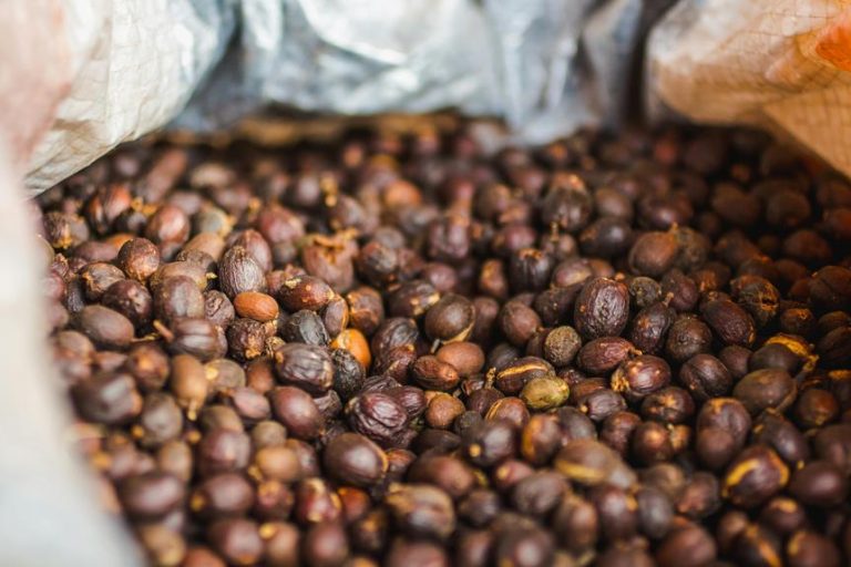 coffee as economic commodity