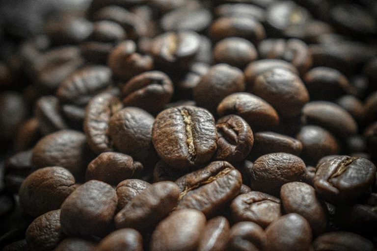 mocha flavor taste profile