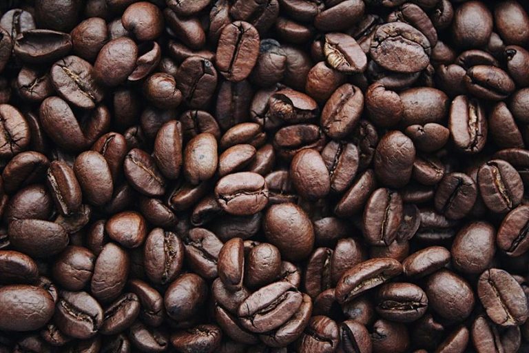 25 best light roast